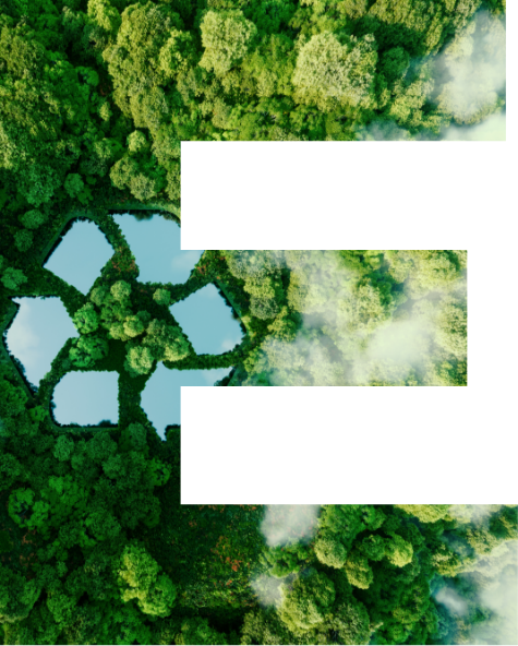 Ecology E